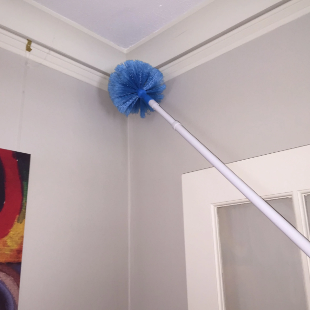 Filta Cobweb Brush With Extendable Handle