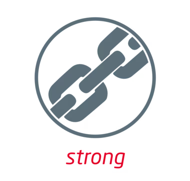 LEUKOPLAST Strong Tan